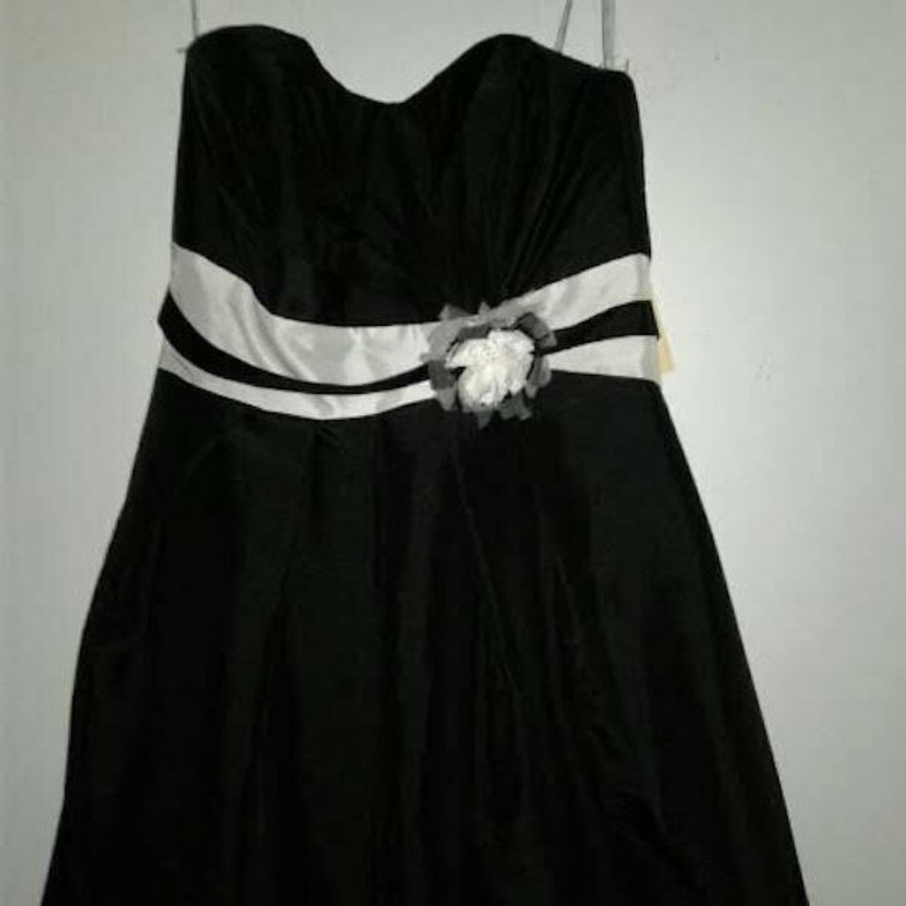 Jasmine Dress NWT Size 10 OBO